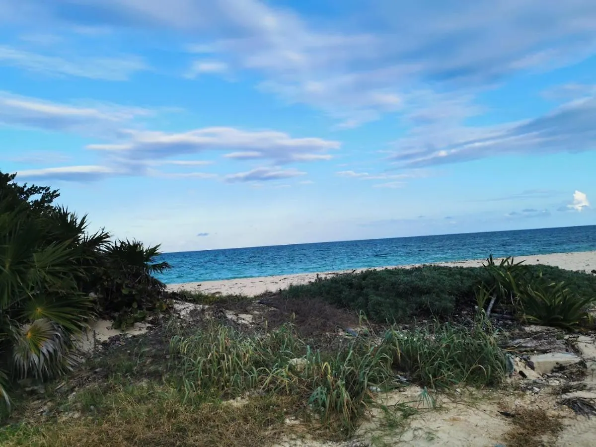 Κάμπινγκ Cuzan Guesthouse Punta Allen By Savana