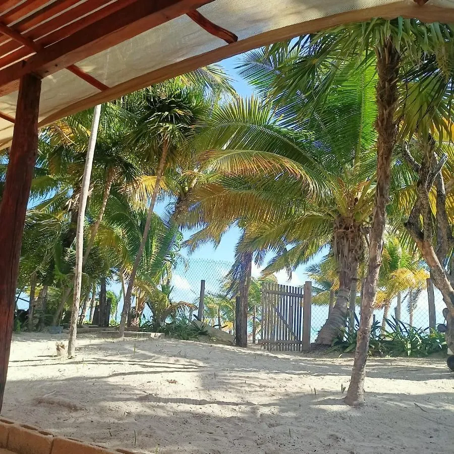 Cuzan Guesthouse Punta Allen By Savana
