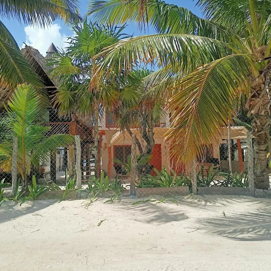 Cuzan Guesthouse Punta Allen By Savana Kamp alanı